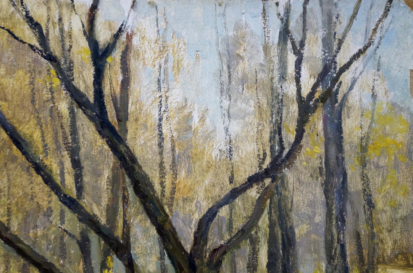 Oil painting Landscape in the forest Sakhnenko Viktor Ivanovich