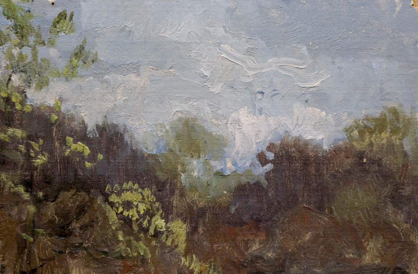 Oil painting After the rain Korzh Vladimir Demyanovich