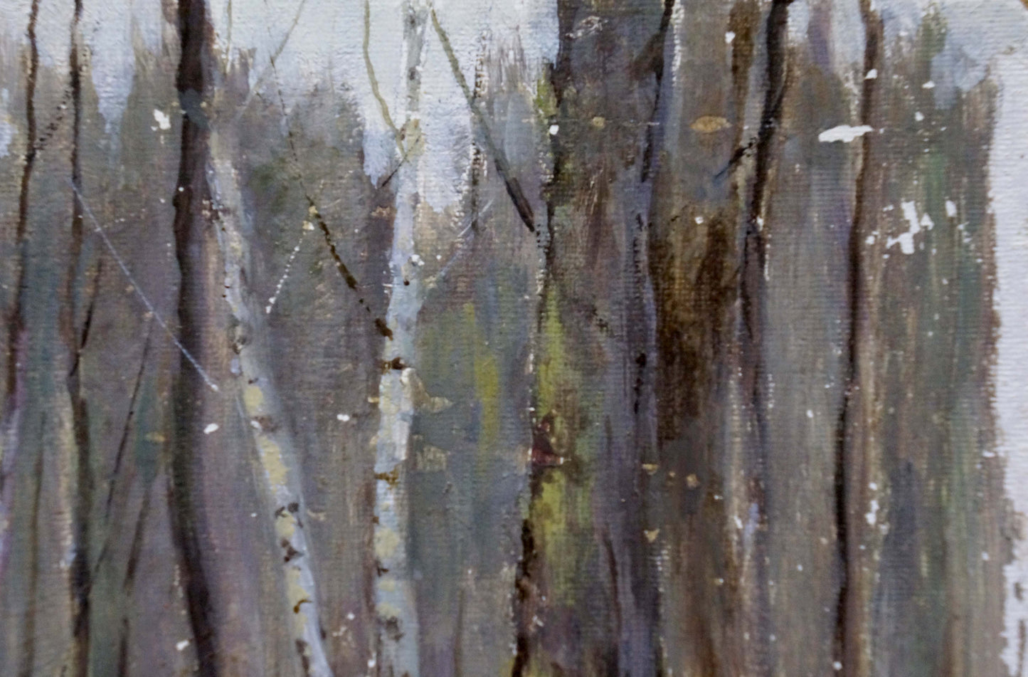 Oil painting Winter forest Tereshchenko Anatoly Grigorievich
