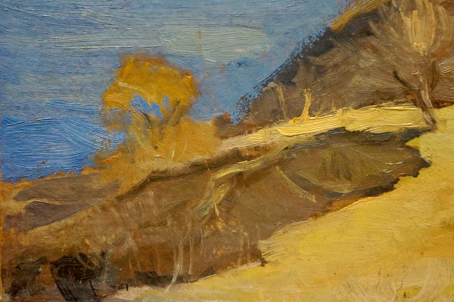 Oil painting Autumn landscape Buryachok Nikolay Ivanovich