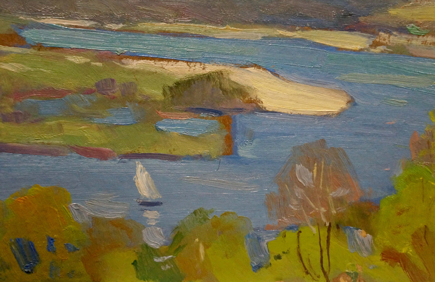 Oil painting River spill in a field Nikolay Buryachok
