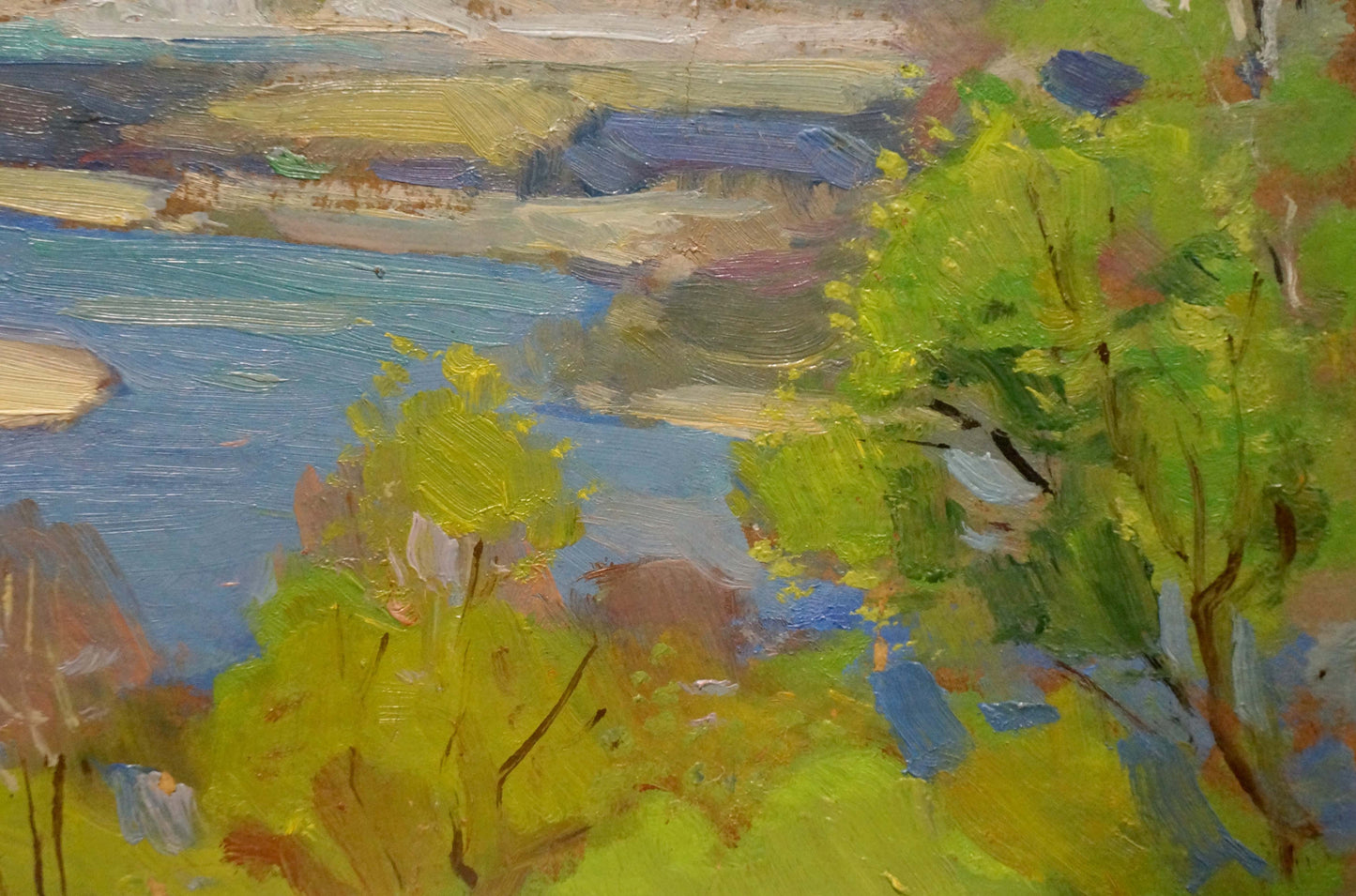 Oil painting River spill in a field Nikolay Buryachok