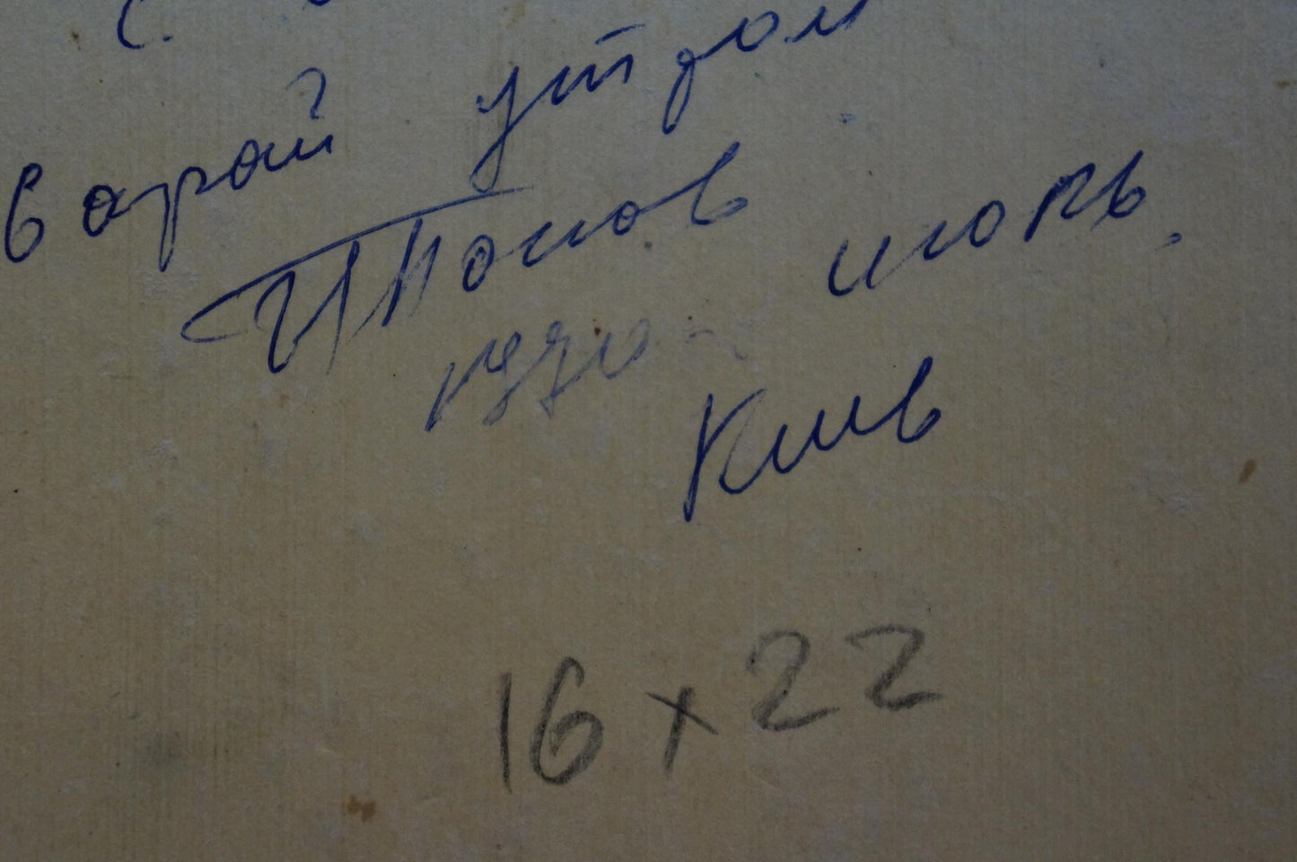 Oil painting House on the outskirts Popov Igor Alexandrovich