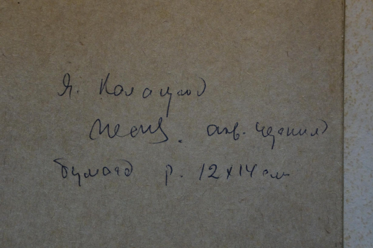 Painting Birch Kalatsyuk Yakov Alekseevich