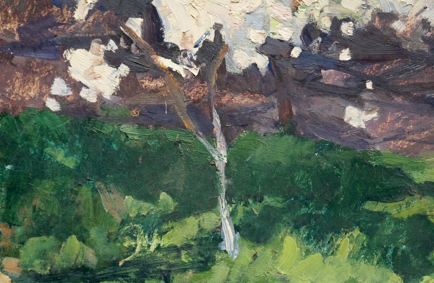 Oil painting Apple tree blossoms Trypilsky