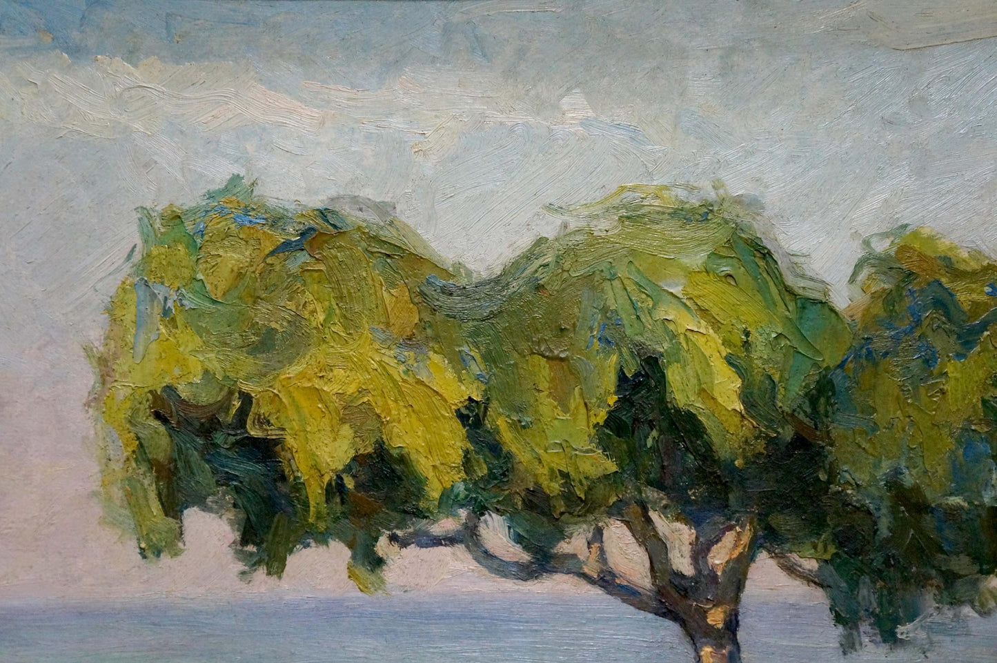 Oil painting Summer landscape Robert Rafailovich Falk