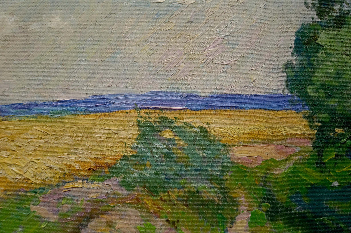 Oil painting Sevastyanov Viktor Grigorievich Field landscape