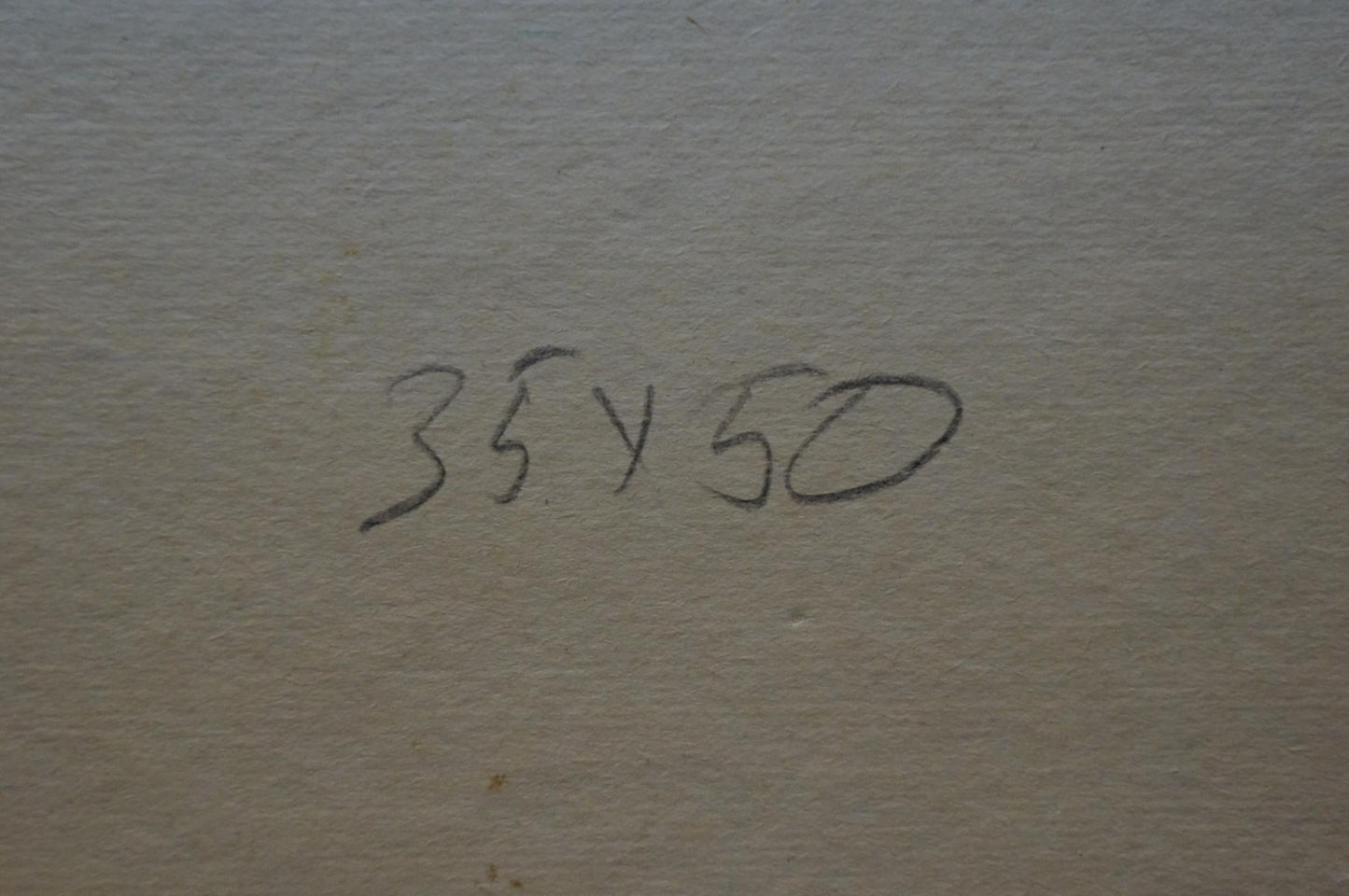 Oil painting Spring landscape after rain Viktor Sevastyanov