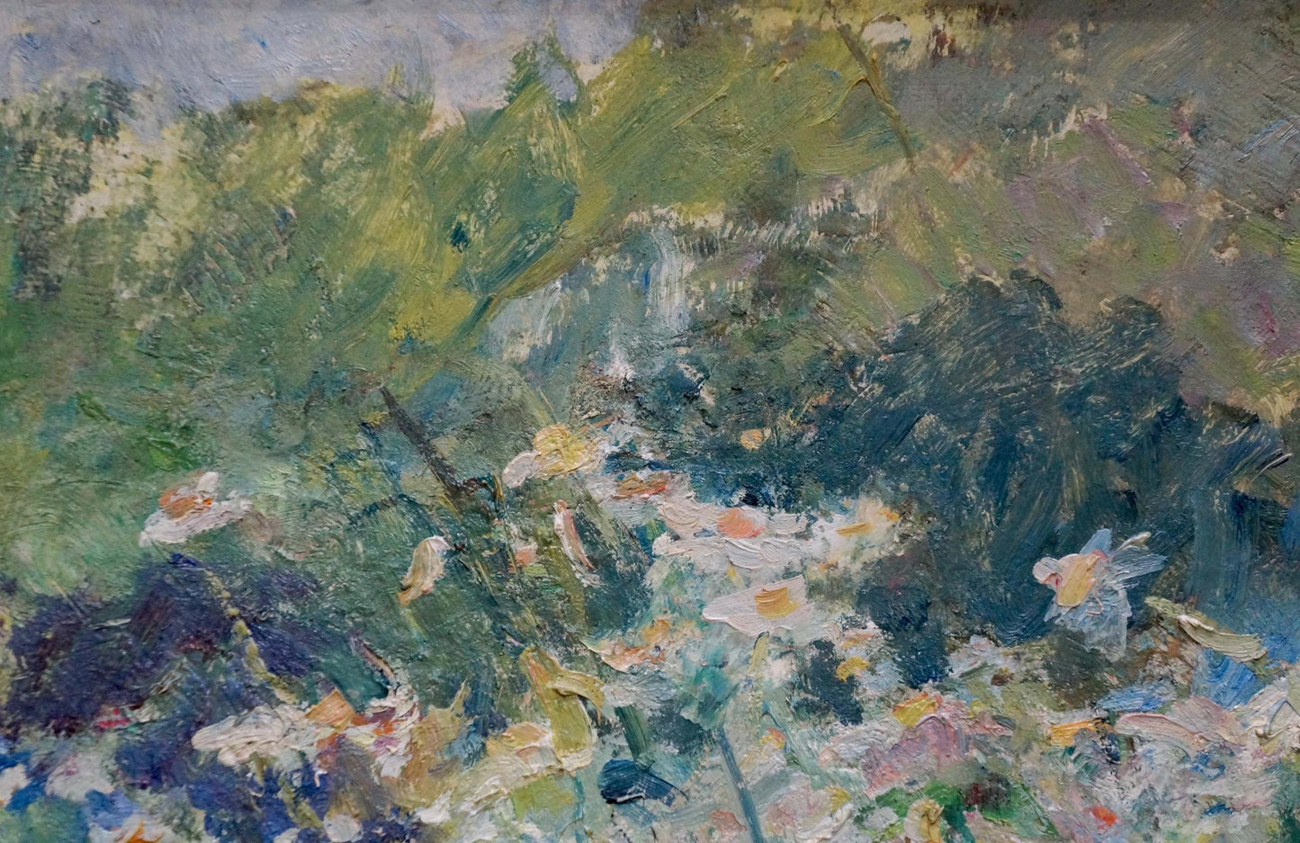 Oil painting Daisies Naumova Tamara Sergeevna