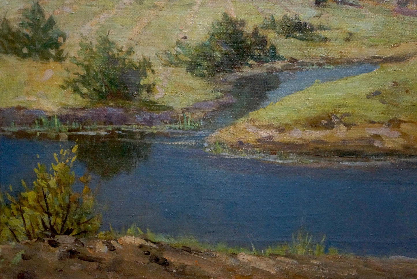 Oil painting Landscape Nevkrytyy Denys Nykyforovych
