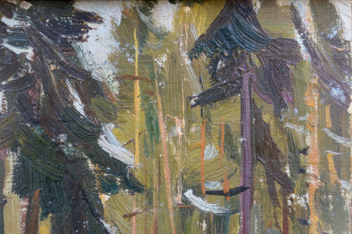 Oil painting Landscape in the forest