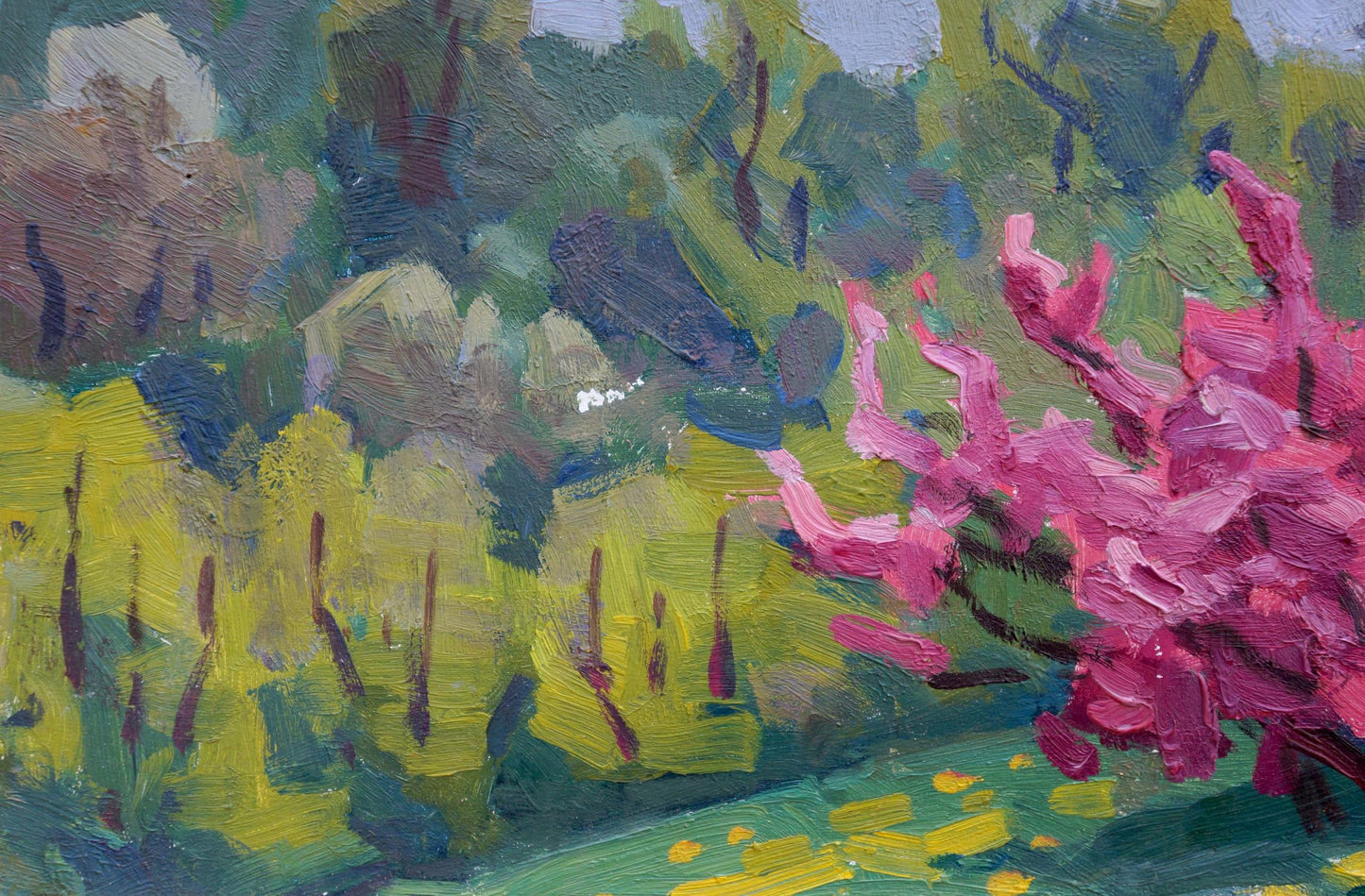 Oil painting Red apple tree Matsievskaya Yadviga Aleksandrovna