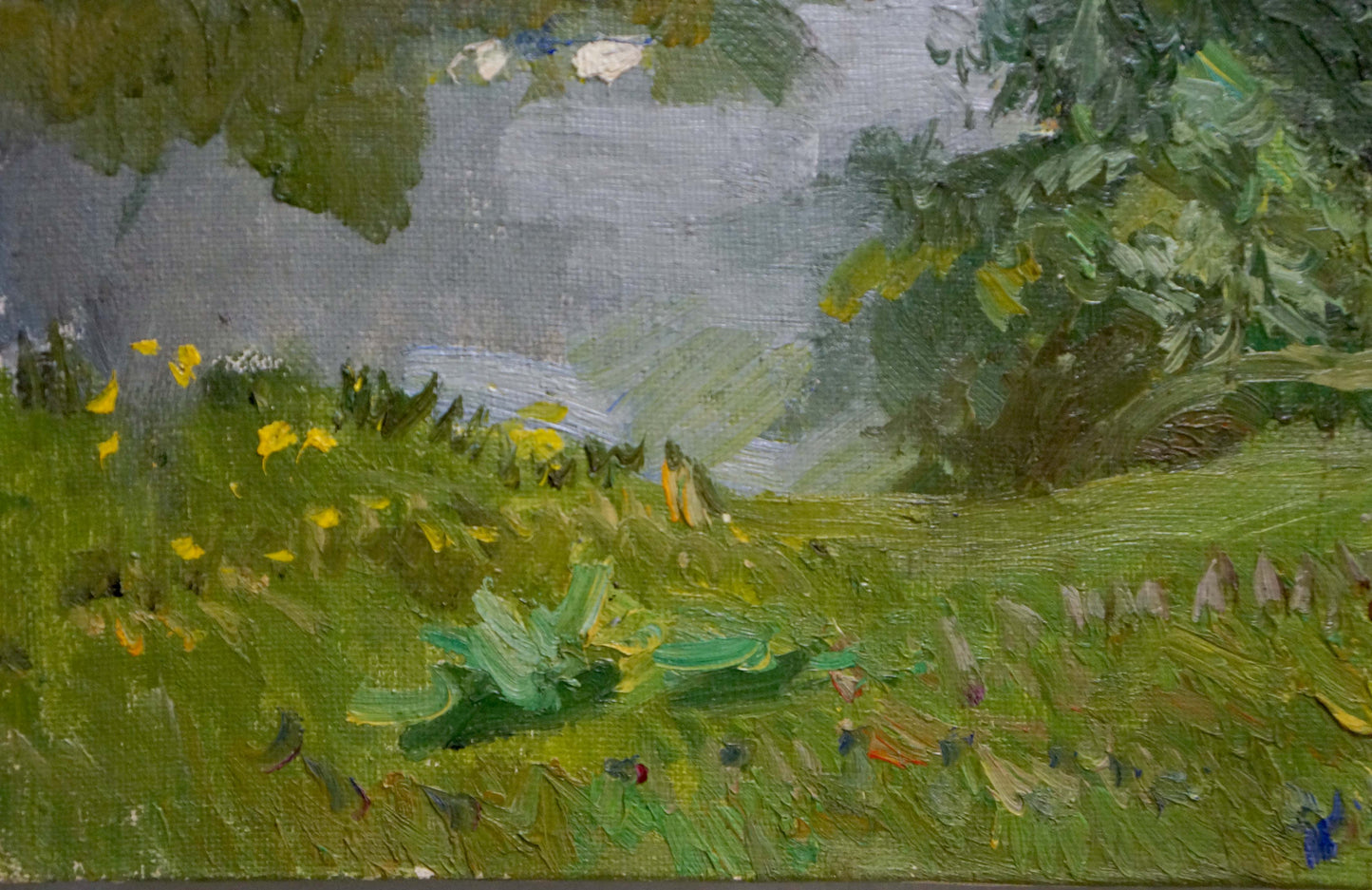 Oil painting Natural silence Kogan-Shats Matvey Borisovich