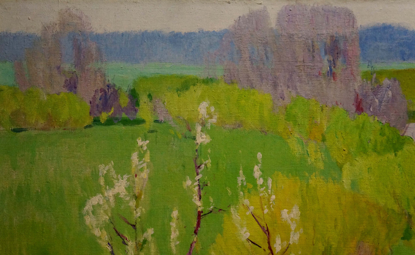 Oil painting River flows Tolpekin Yu.