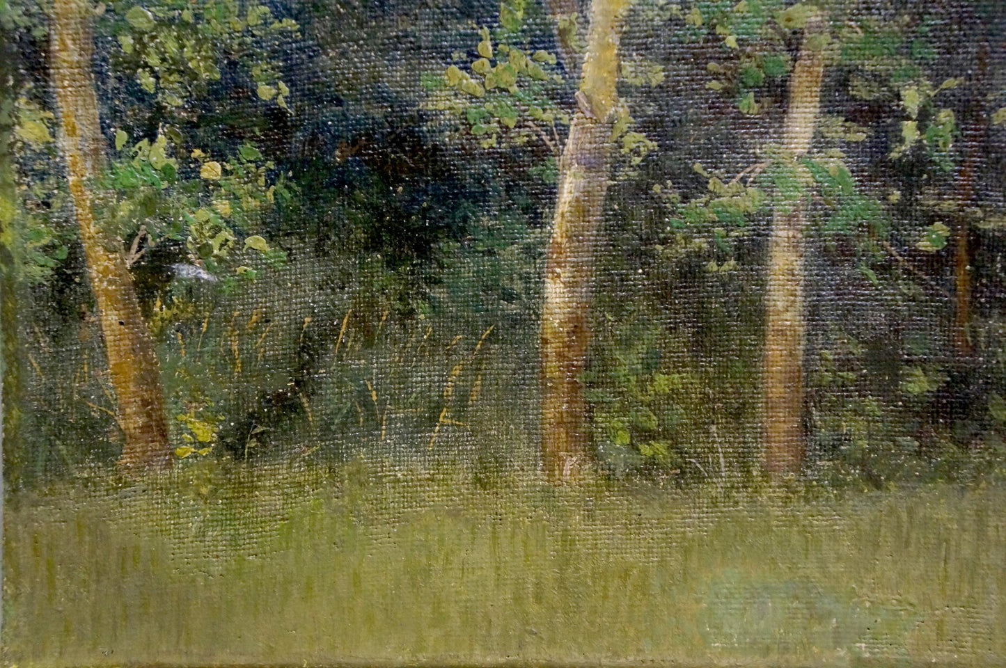 Oil painting Forest landscape Efim Efimovich Volkov