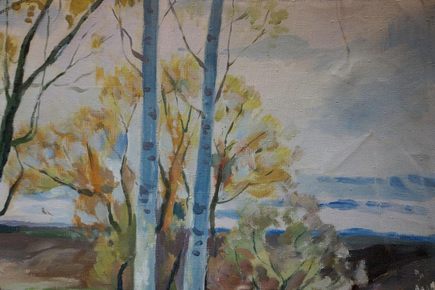 Oil painting Forest landscape Minka Alexander Fedorovich