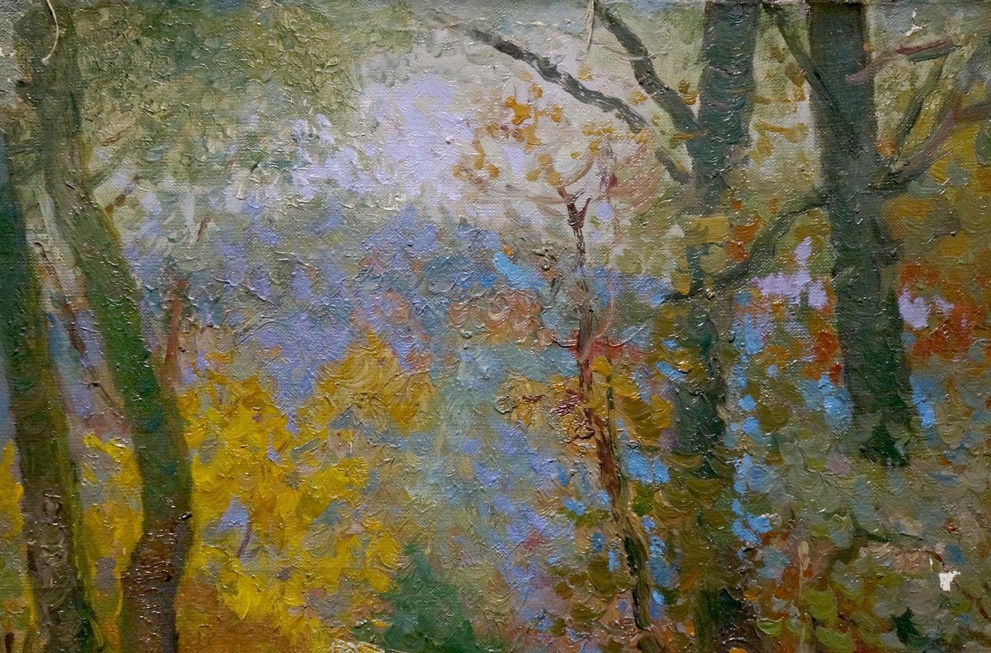 Oil painting In the country Minka Alexander Fedorovich