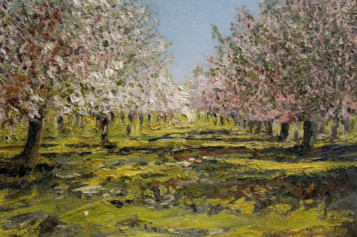 Oil painting Trees are blooming Nevkritiy Denis Nikiforovich