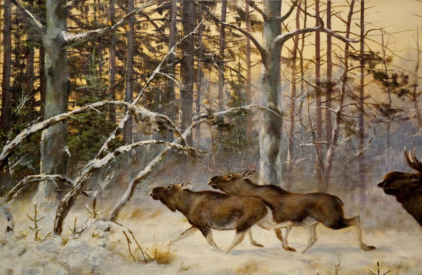Oil painting Deer in the forest
