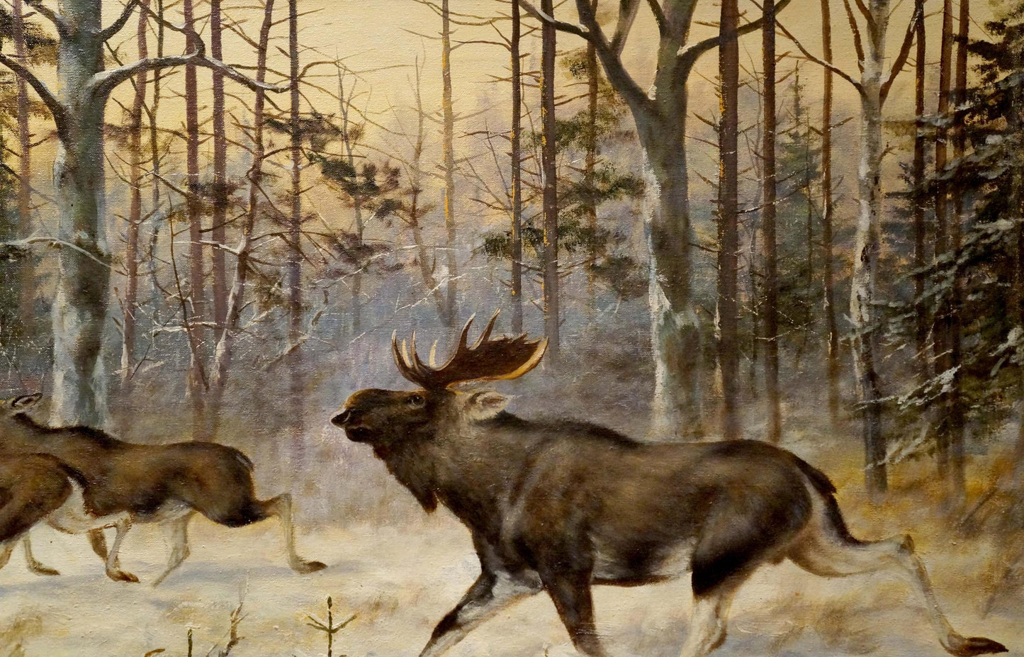 Oil painting Deer in the forest