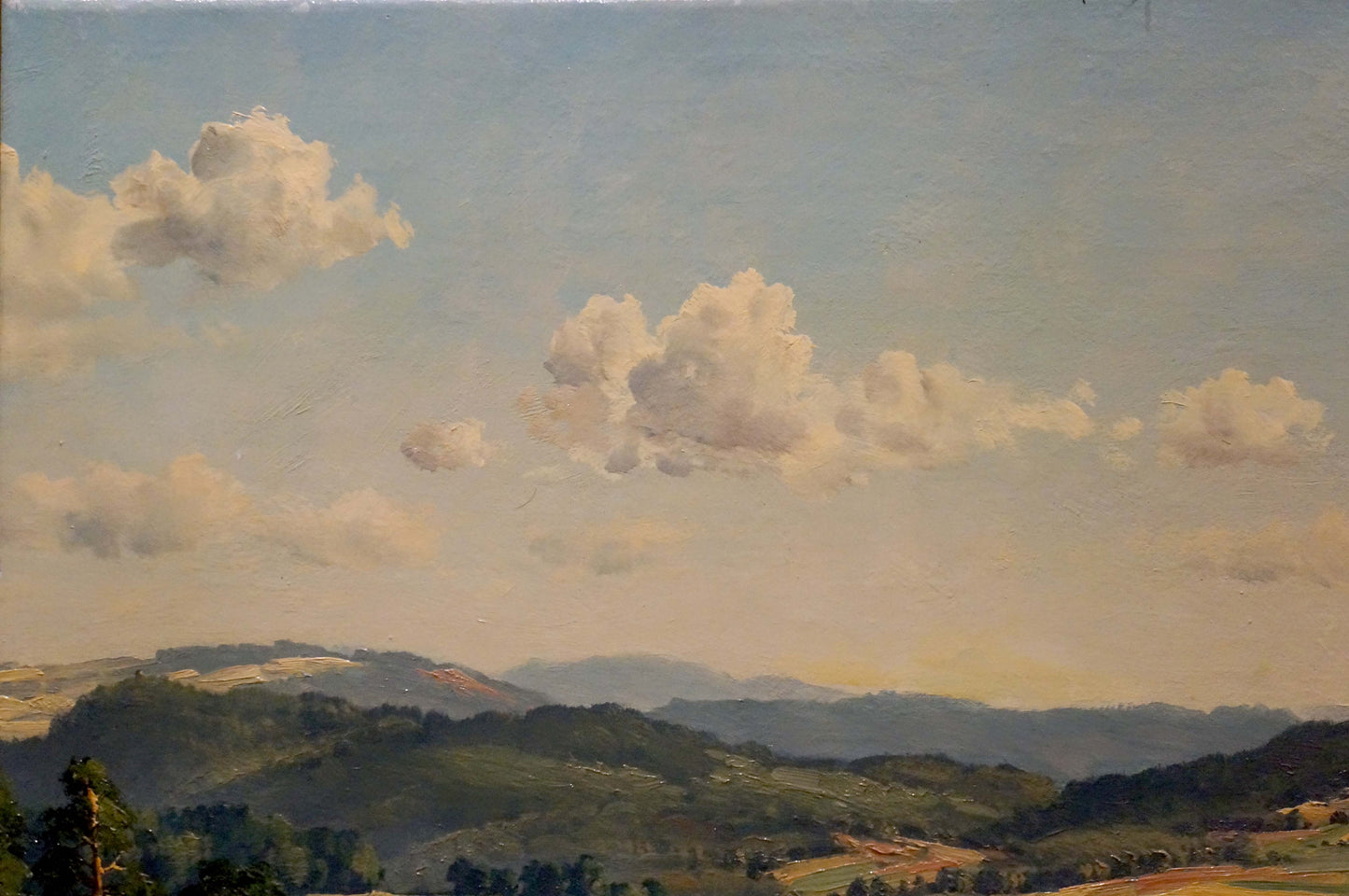 Oil painting Landscape with field