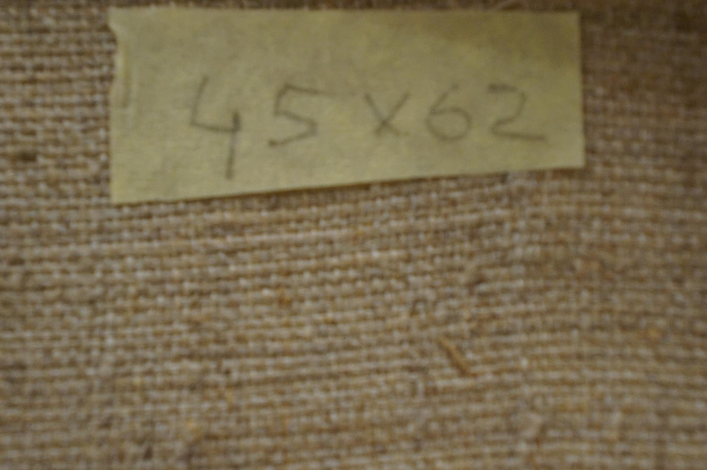 Oil painting Camomile field Chernikov Nikolay Vladimirovich