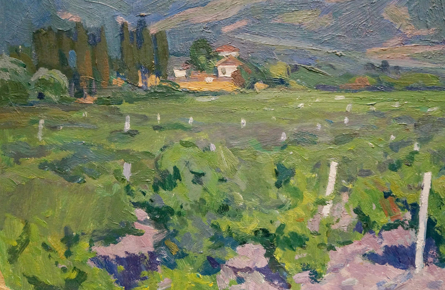 Oil painting Grape fields Miroshnichenko Ivan Vasilievich