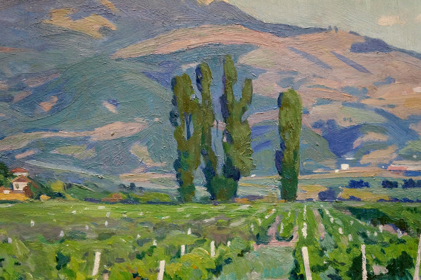 Oil painting Grape fields Miroshnichenko Ivan Vasilievich