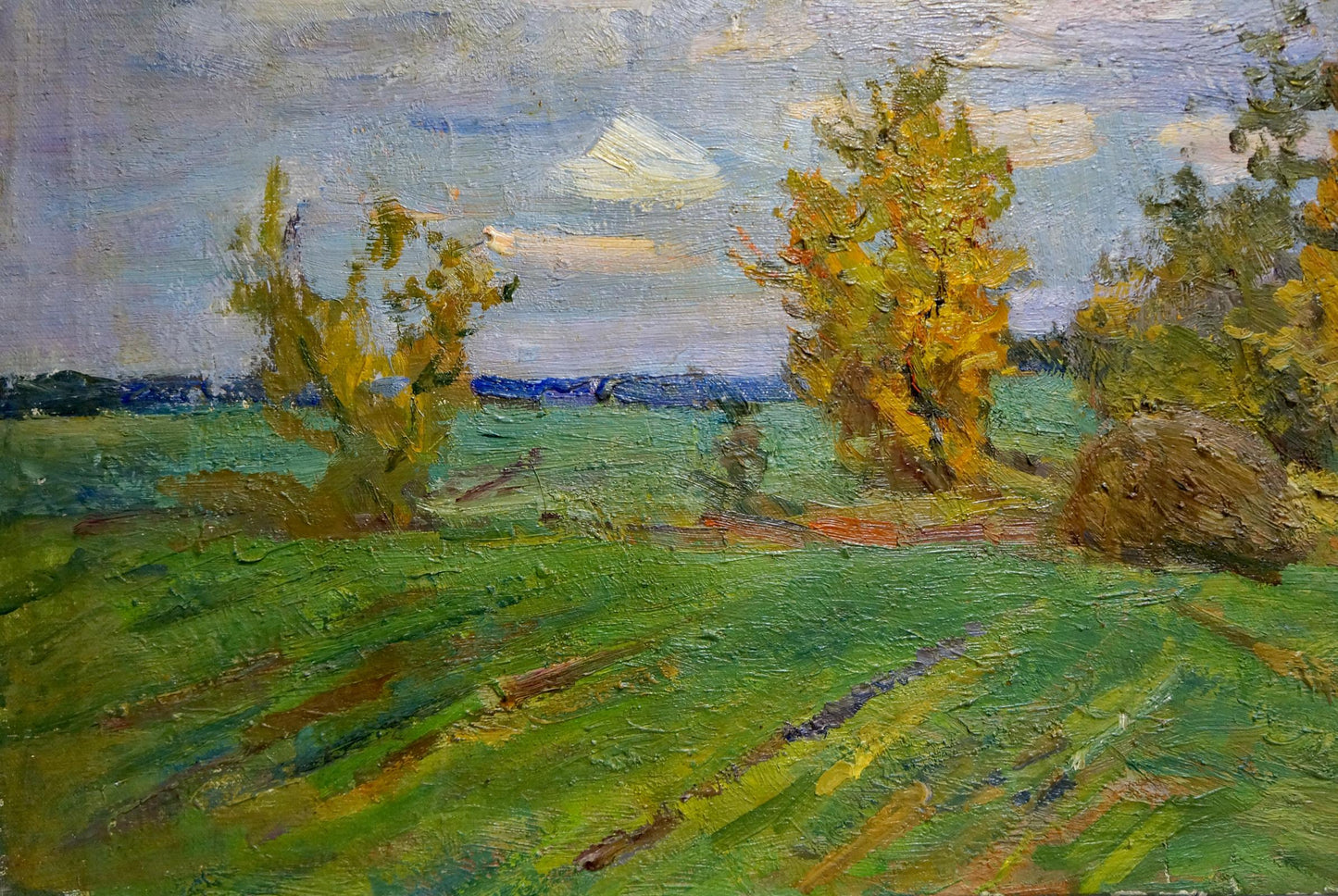 Oil painting Cloudy autumn day V. Gavrilov