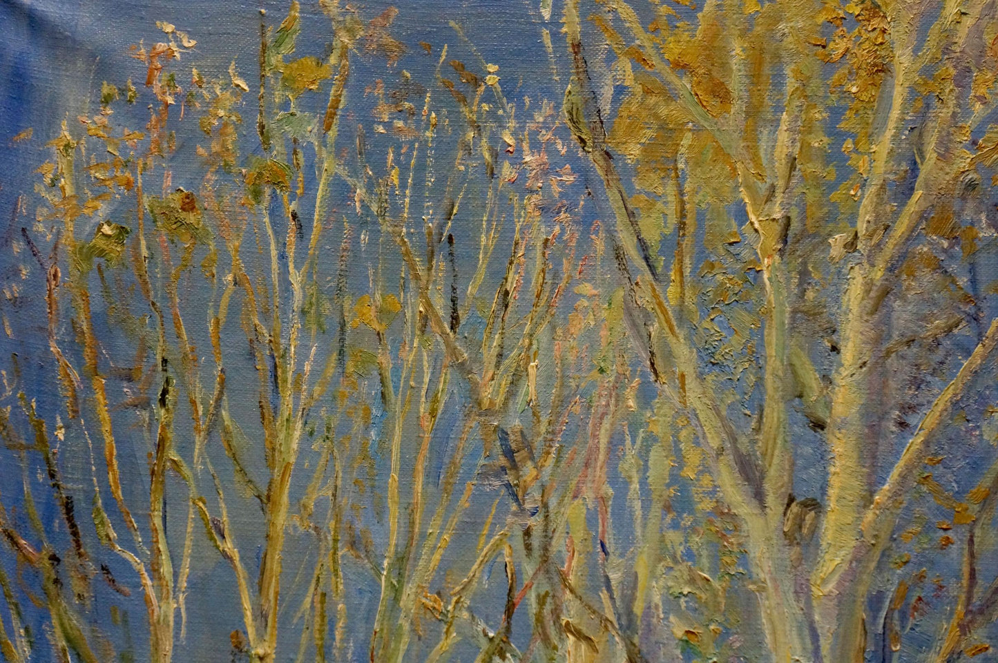 Oil painting Autumn forest Tytarenko Odarka Anatoliivna