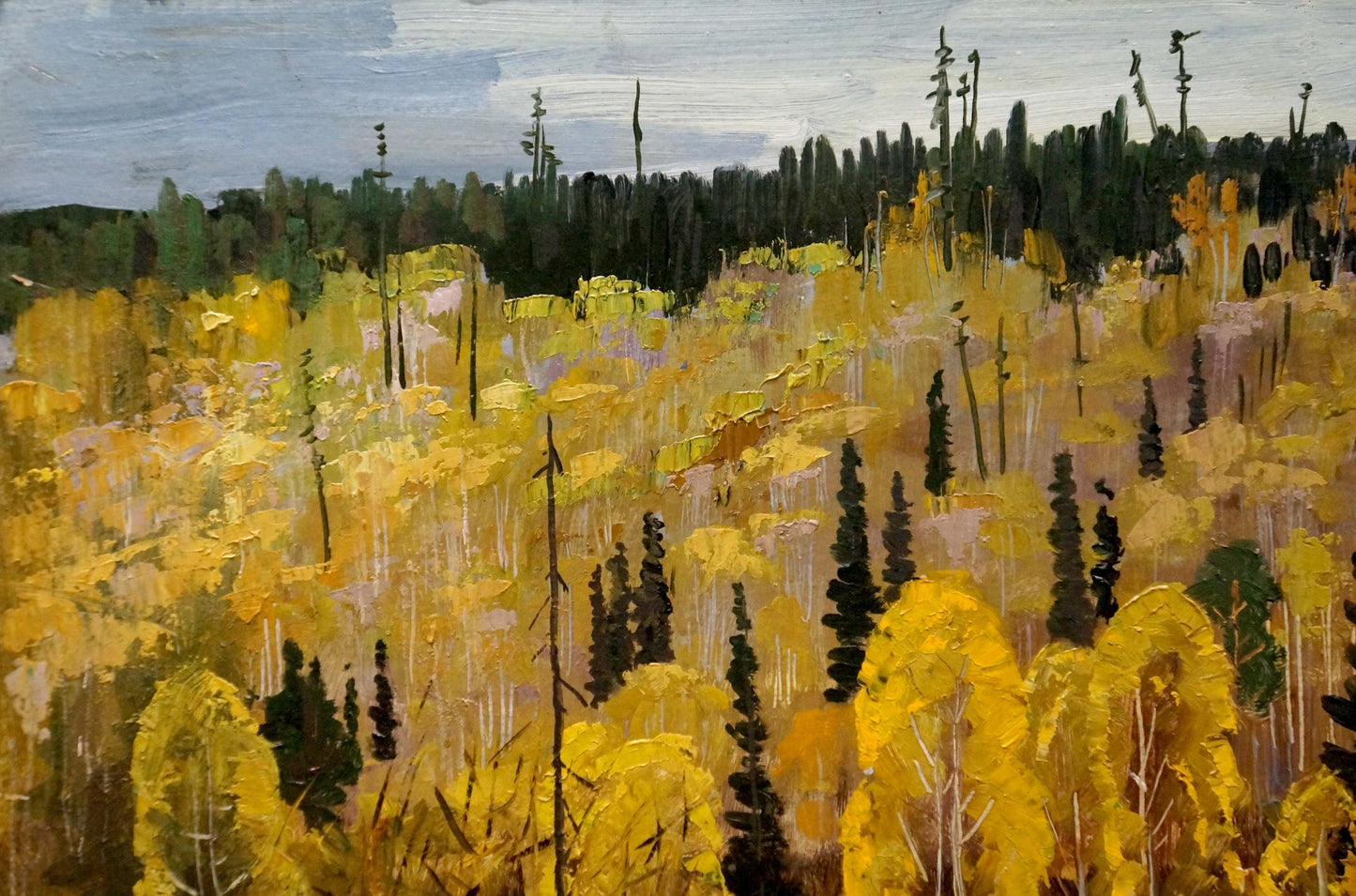 Oil painting Horses walk in the woods Vladimir Vladimirovich Nabokov