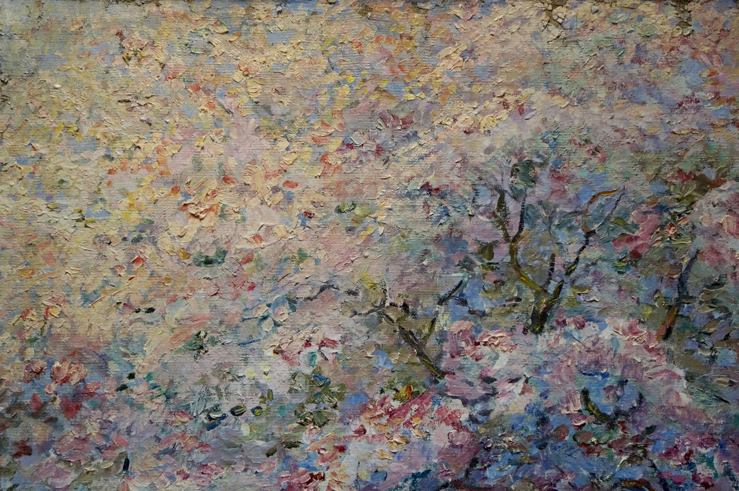 Oil painting Blooming trees Tytarenko Odarka Anatoliivna
