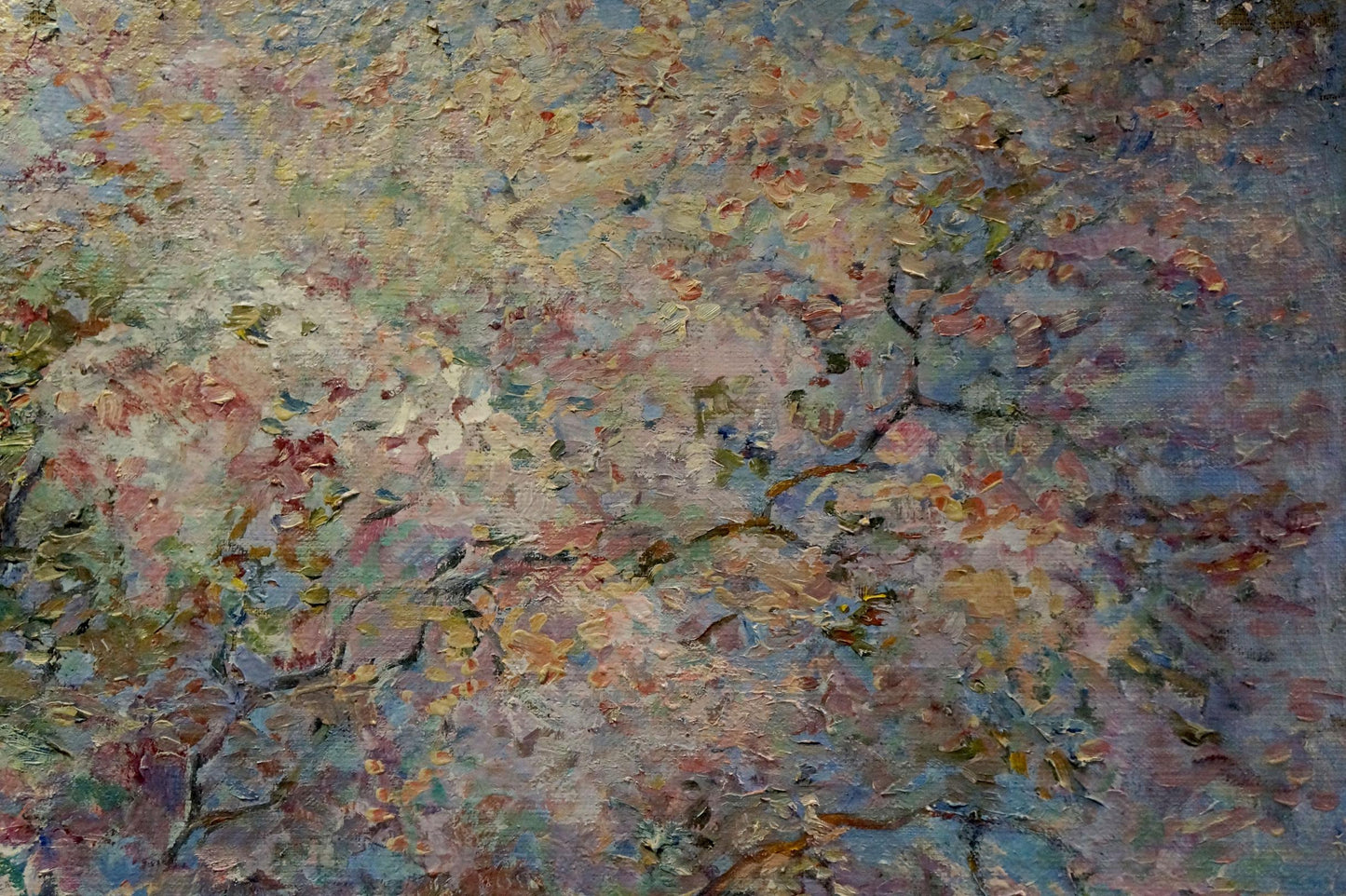 Oil painting Blooming trees Tytarenko Odarka Anatoliivna