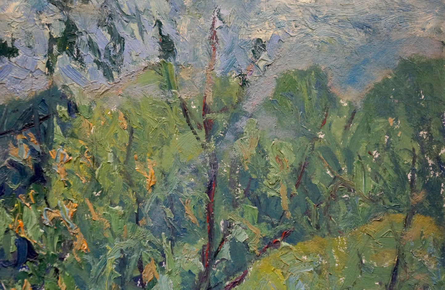 Oil painting River landscape Gaiduk Viktor Kirillovich