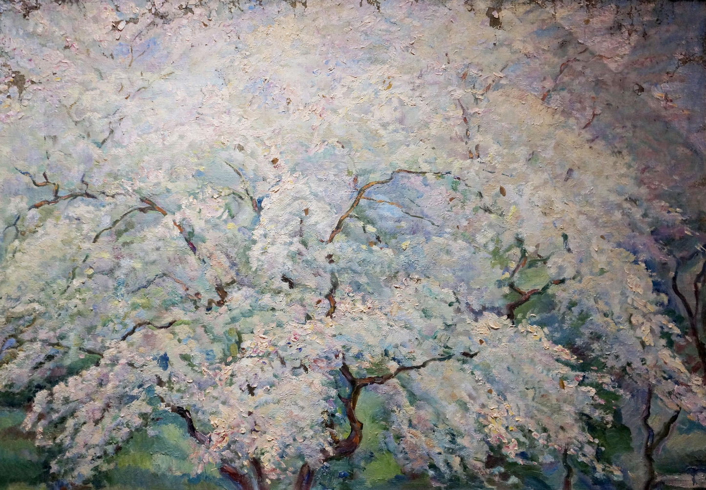 Oil painting Blooming tree Tytarenko Odarka Anatoliivna