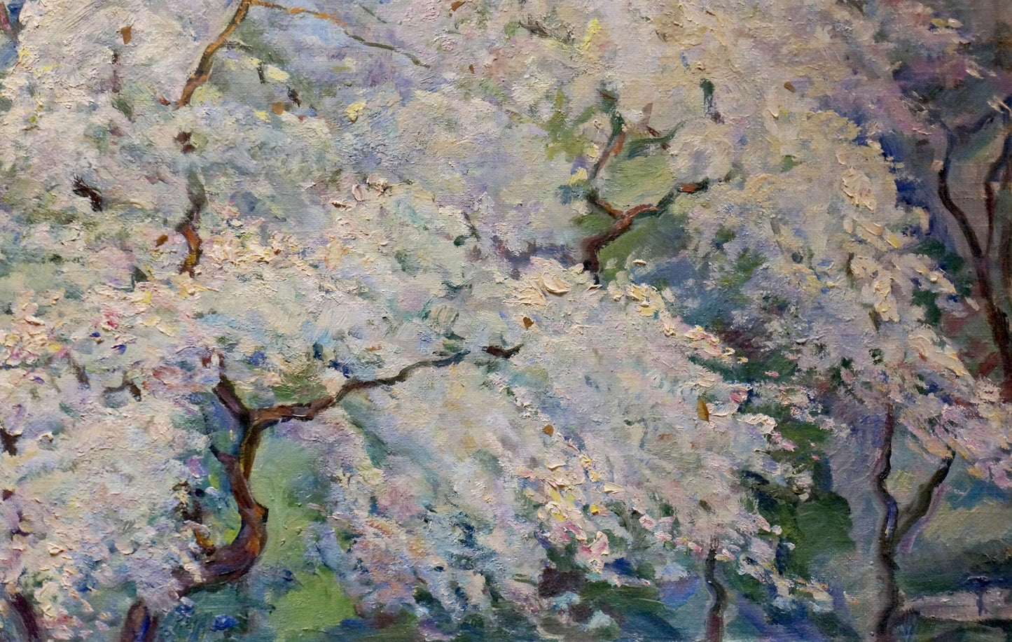 Oil painting Blooming tree Tytarenko Odarka Anatoliivna