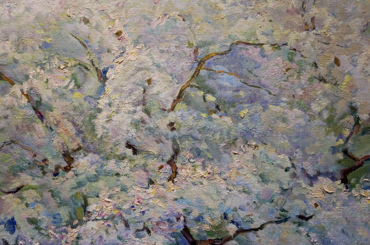Oil painting Blooming tree Tytarenko Odarka Anatoliivna
