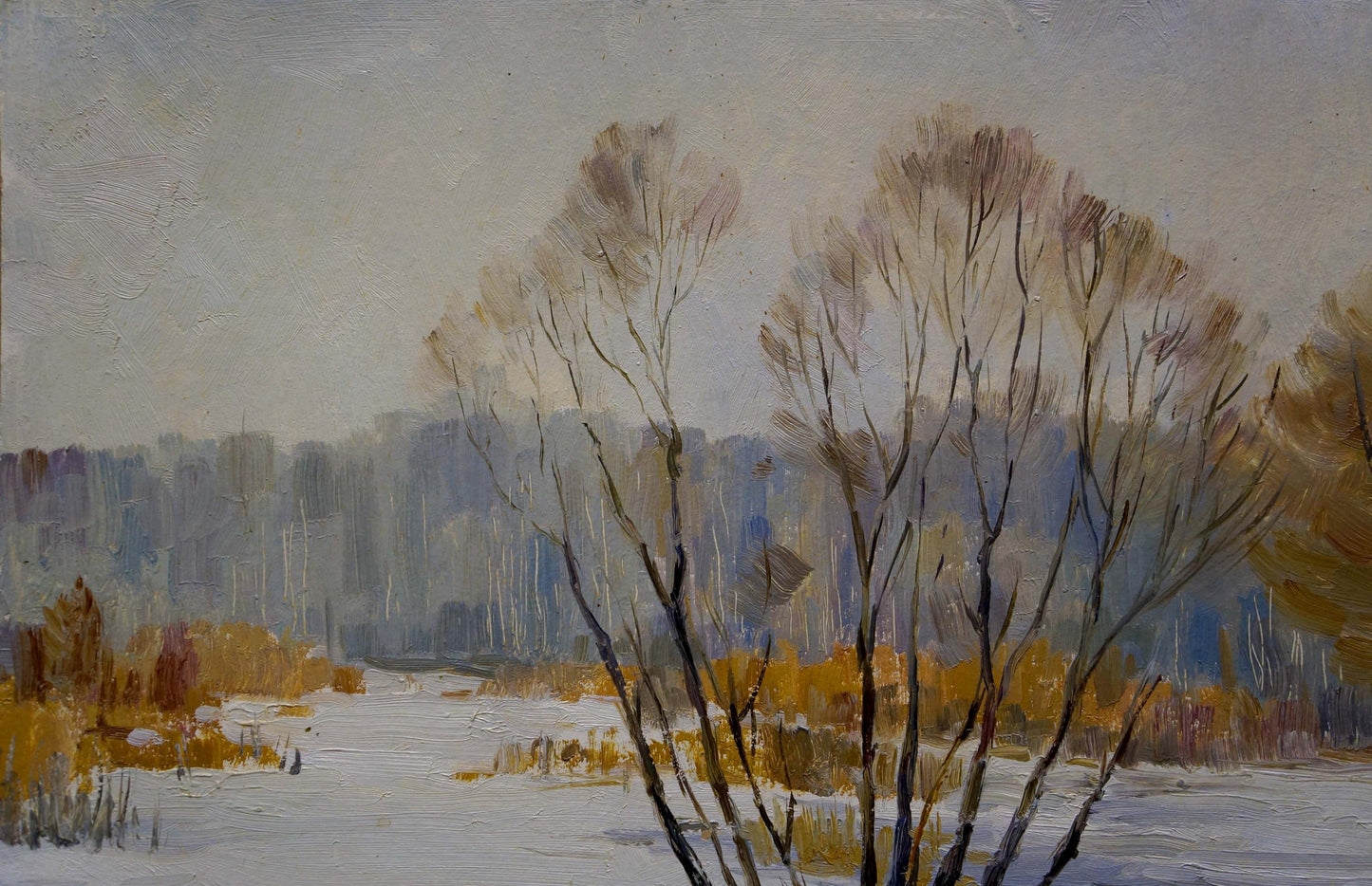 Oil painting Winter landscape Gaiduk Zinaida Kirillovna