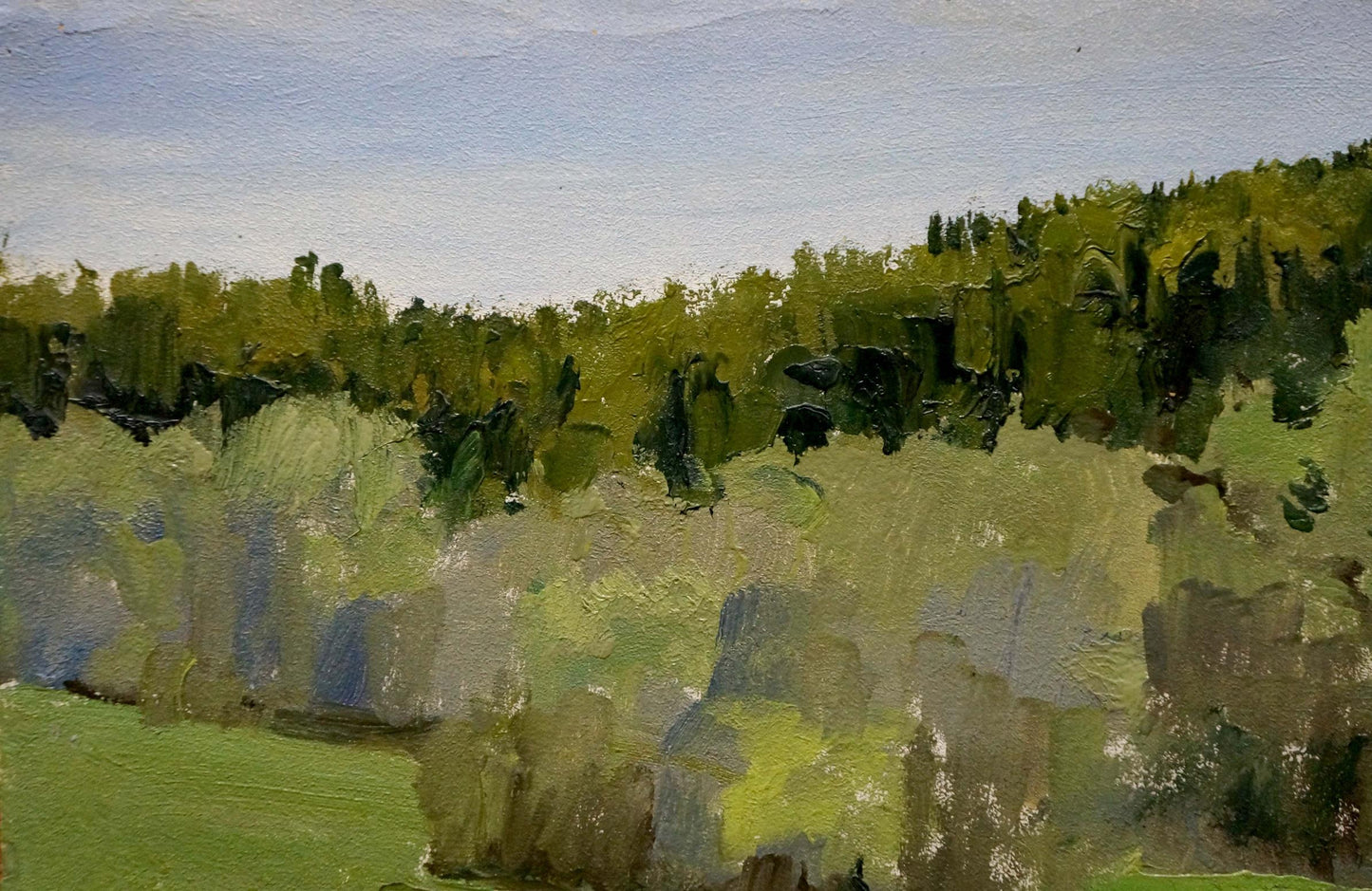Oil painting Spring sketch Yakovlev B.N.
