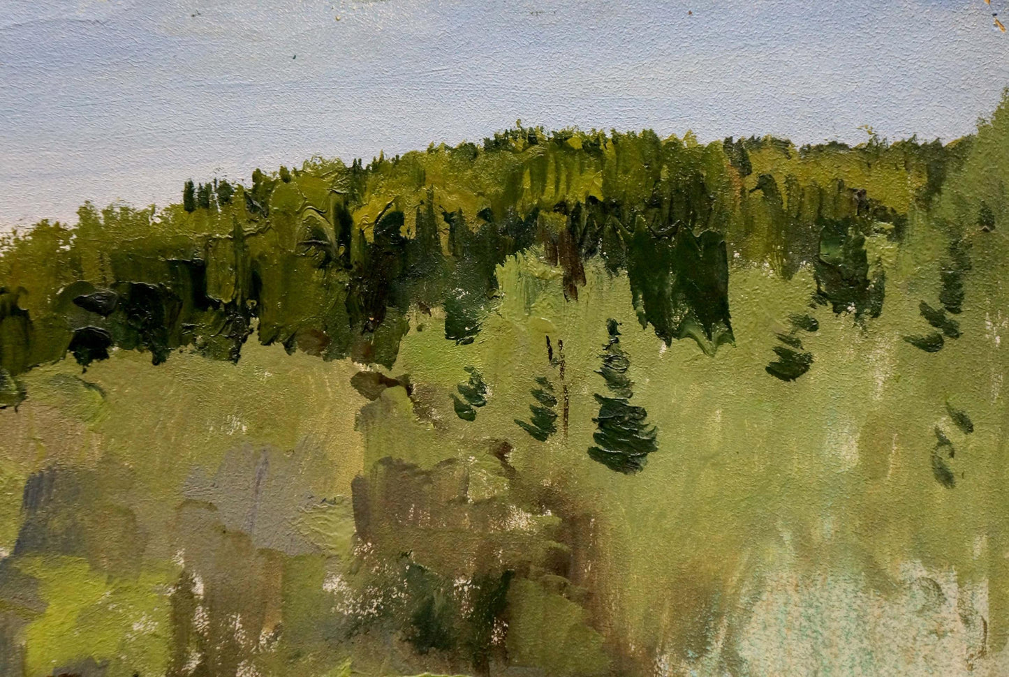 Oil painting Spring sketch Yakovlev B.N.