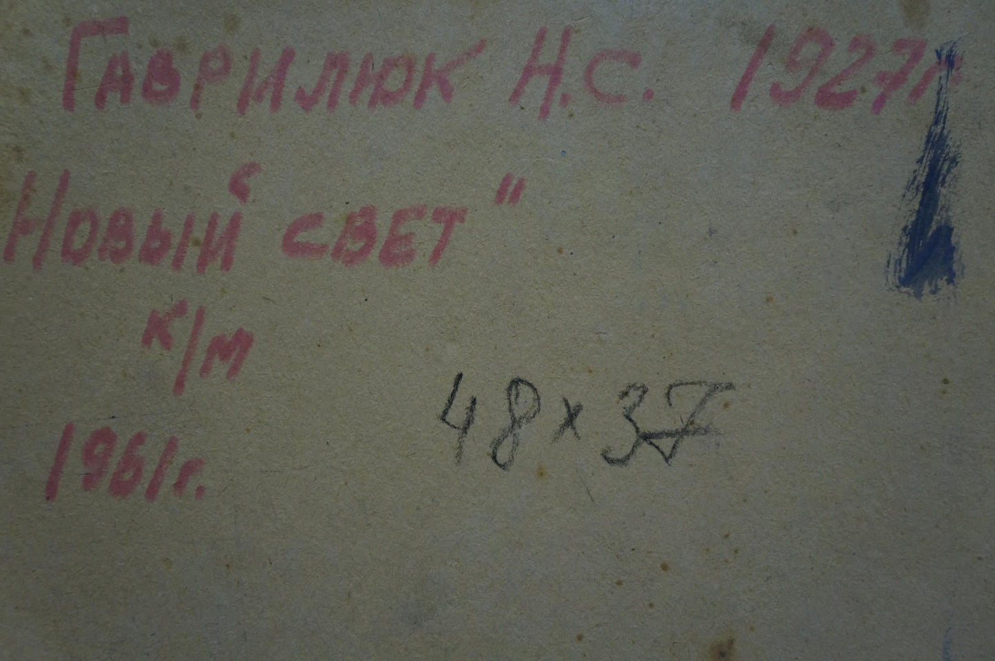 Oil painting New World Gavrilyuk Nikolay Stepanovich