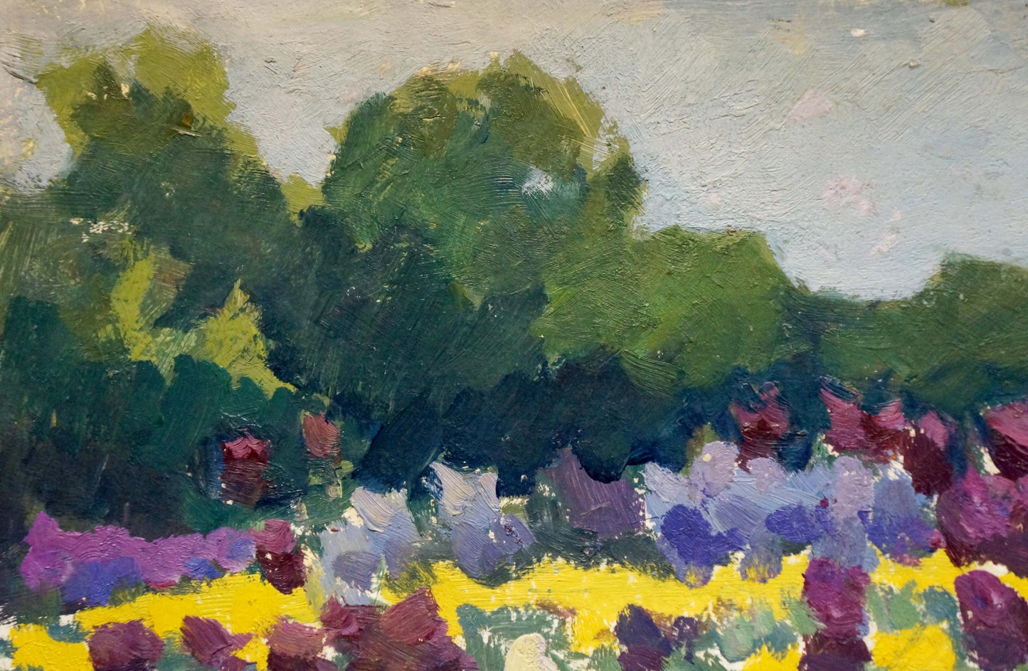Oil painting Flower field Pokulity Konstantin Ivanovich