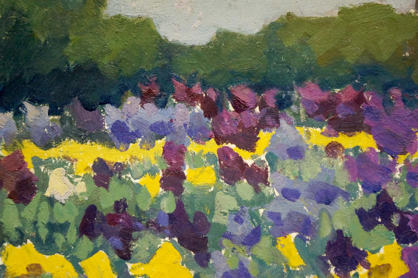 Oil painting Flower field Pokulity Konstantin Ivanovich