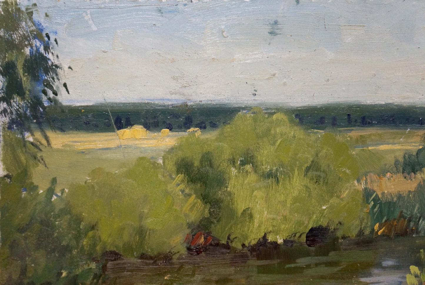 Oil painting Lake landscape Gantman Moses Faybovich