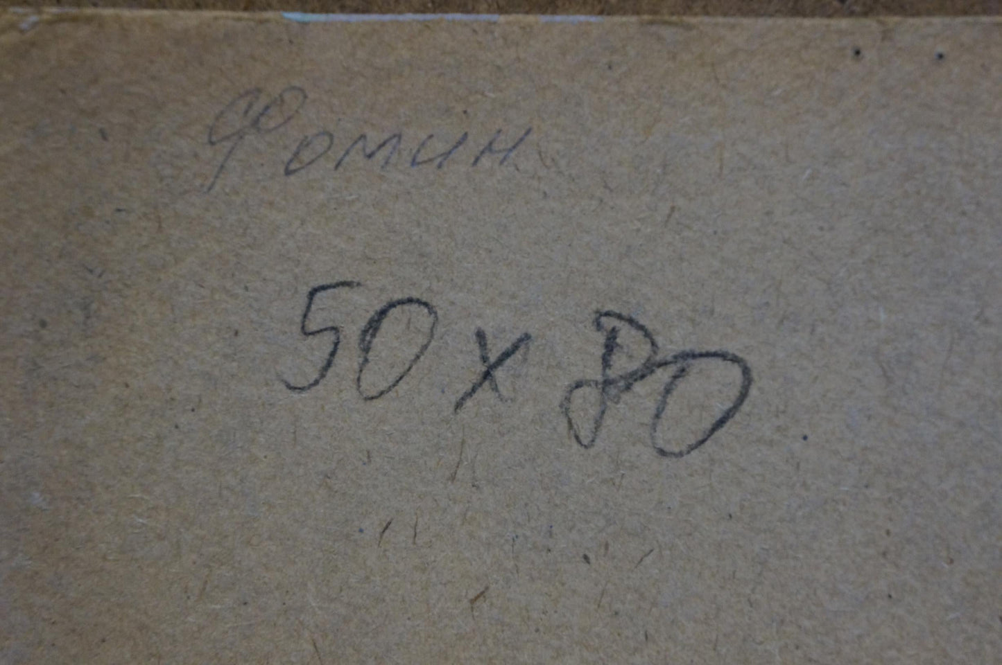 Oil painting Rustic romance in silence Anatoly Fomin