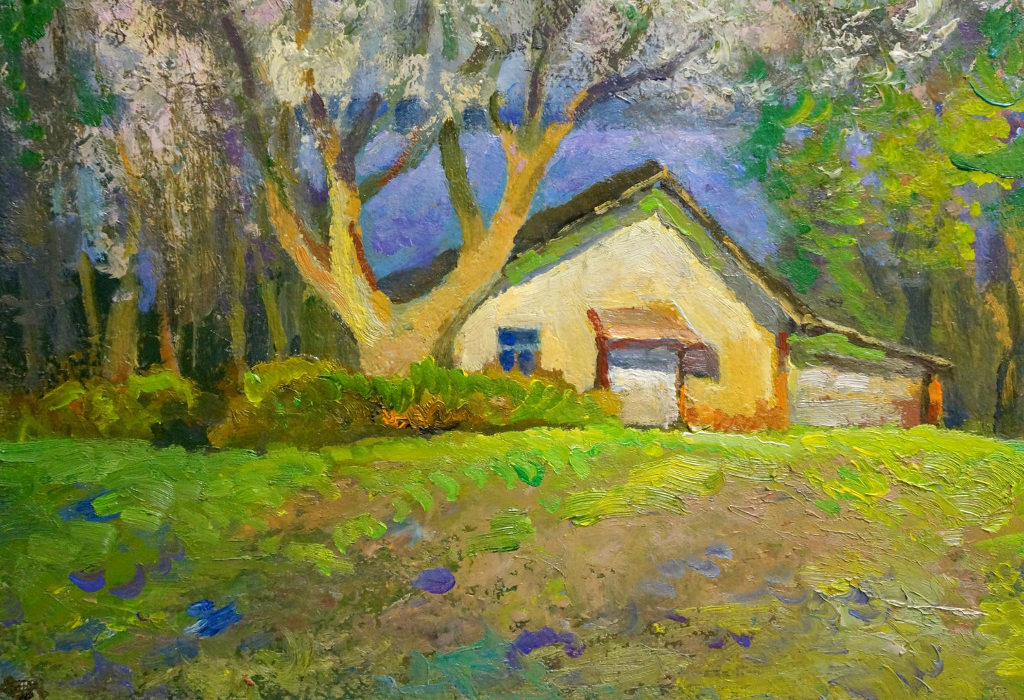 Oil painting Trees are blooming Mynka Alexander Fedorovich