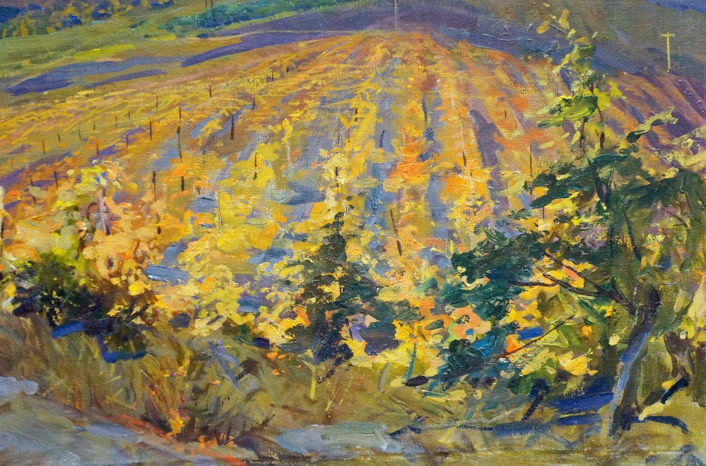 Oil painting Landscape of fields Sevets Victor Stepanovich