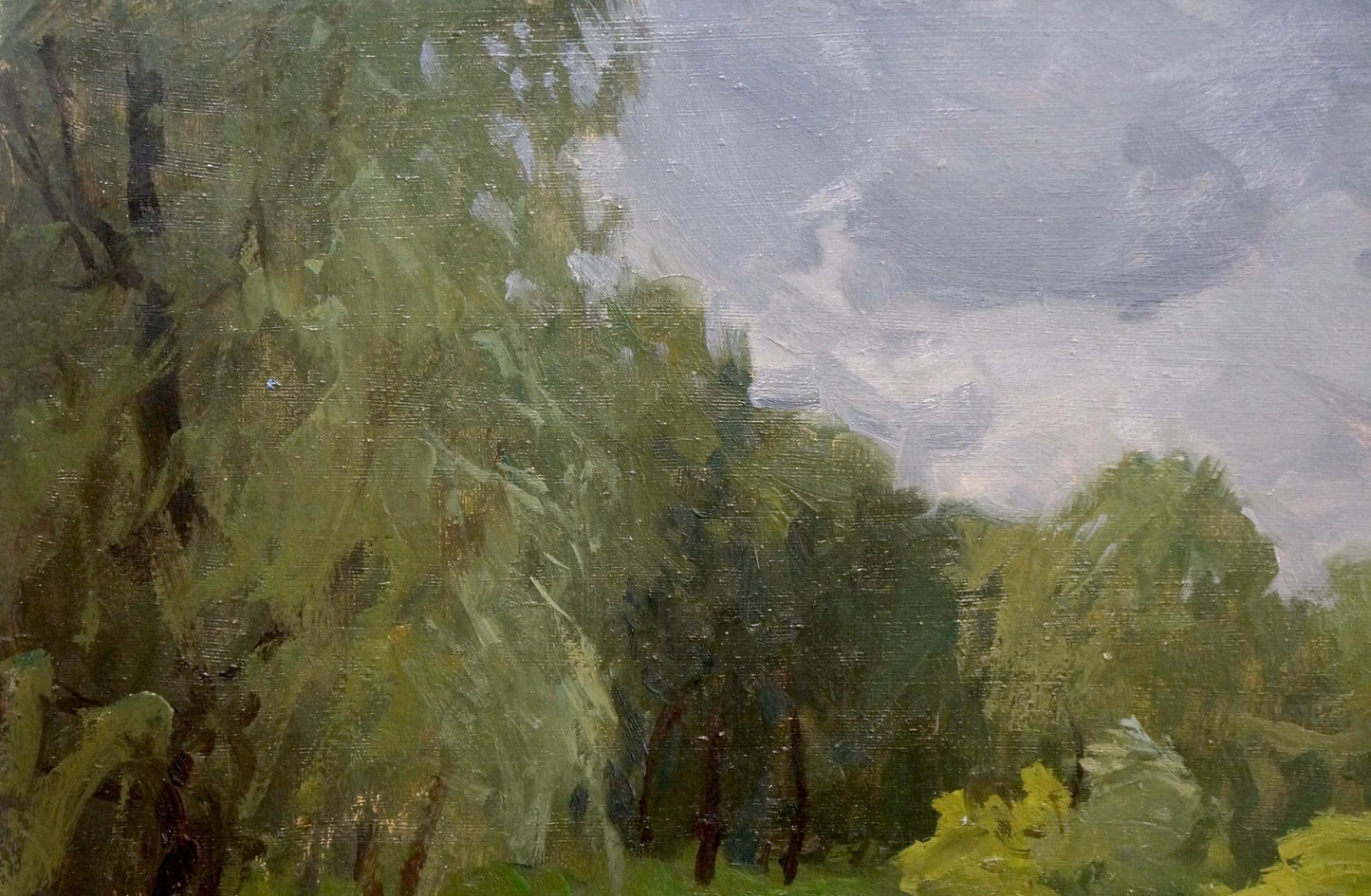 Oil painting Before the rain Gaiduk Viktor Kirillovich