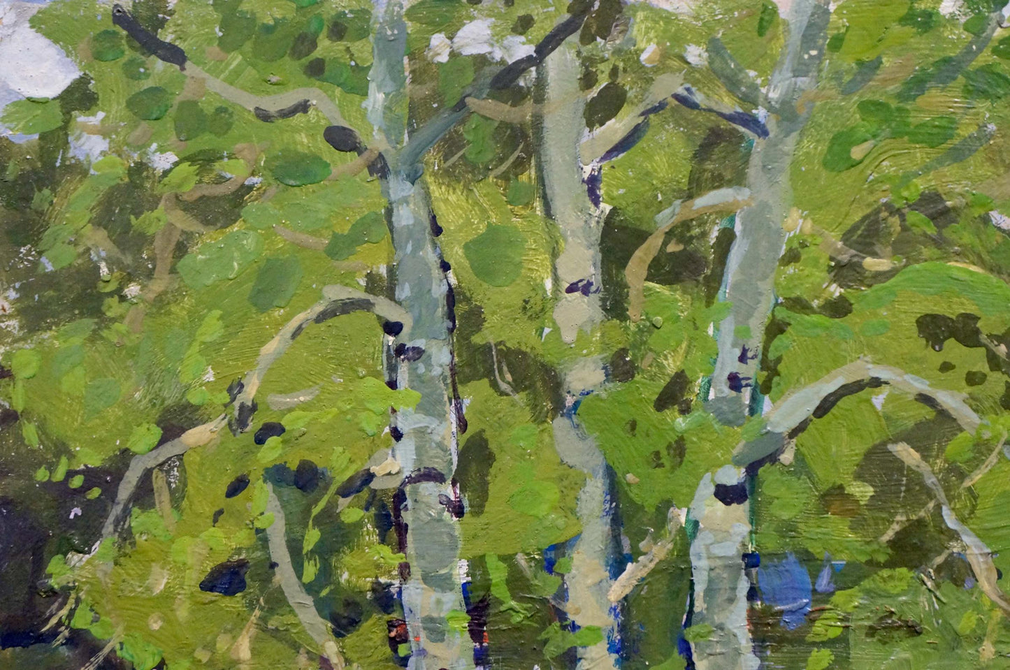 Oil painting Birch Grove Kolosovsky Georgy Sergeevich