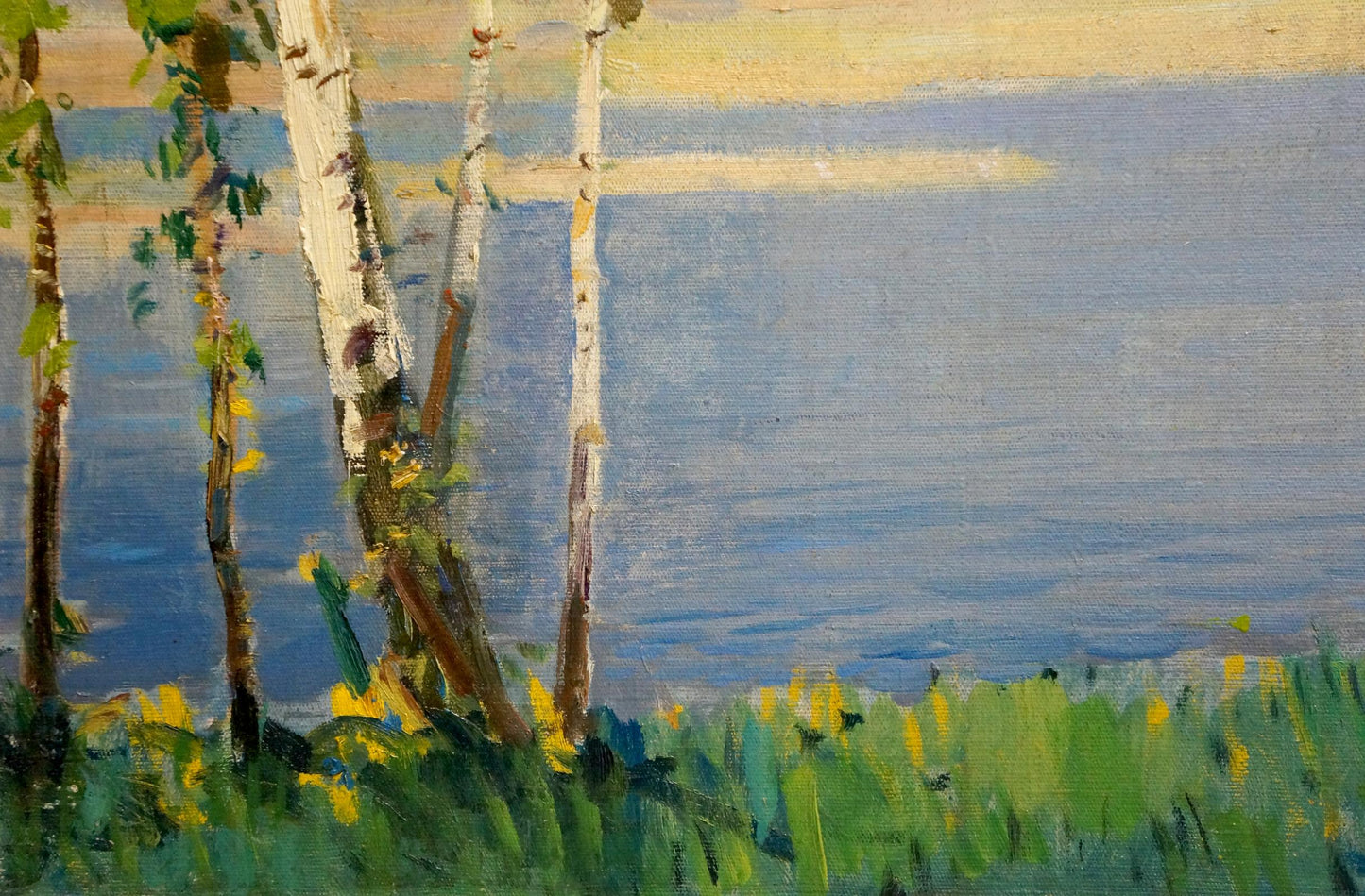 Oil painting Birches by the river Bezugly Daniil Ivanovich